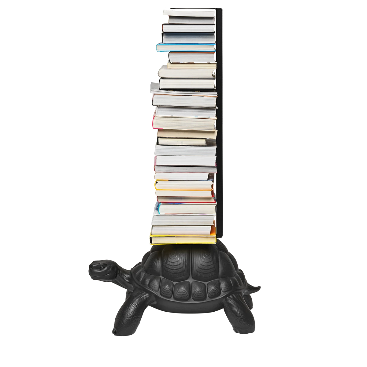 Turtle Carry Bookcase