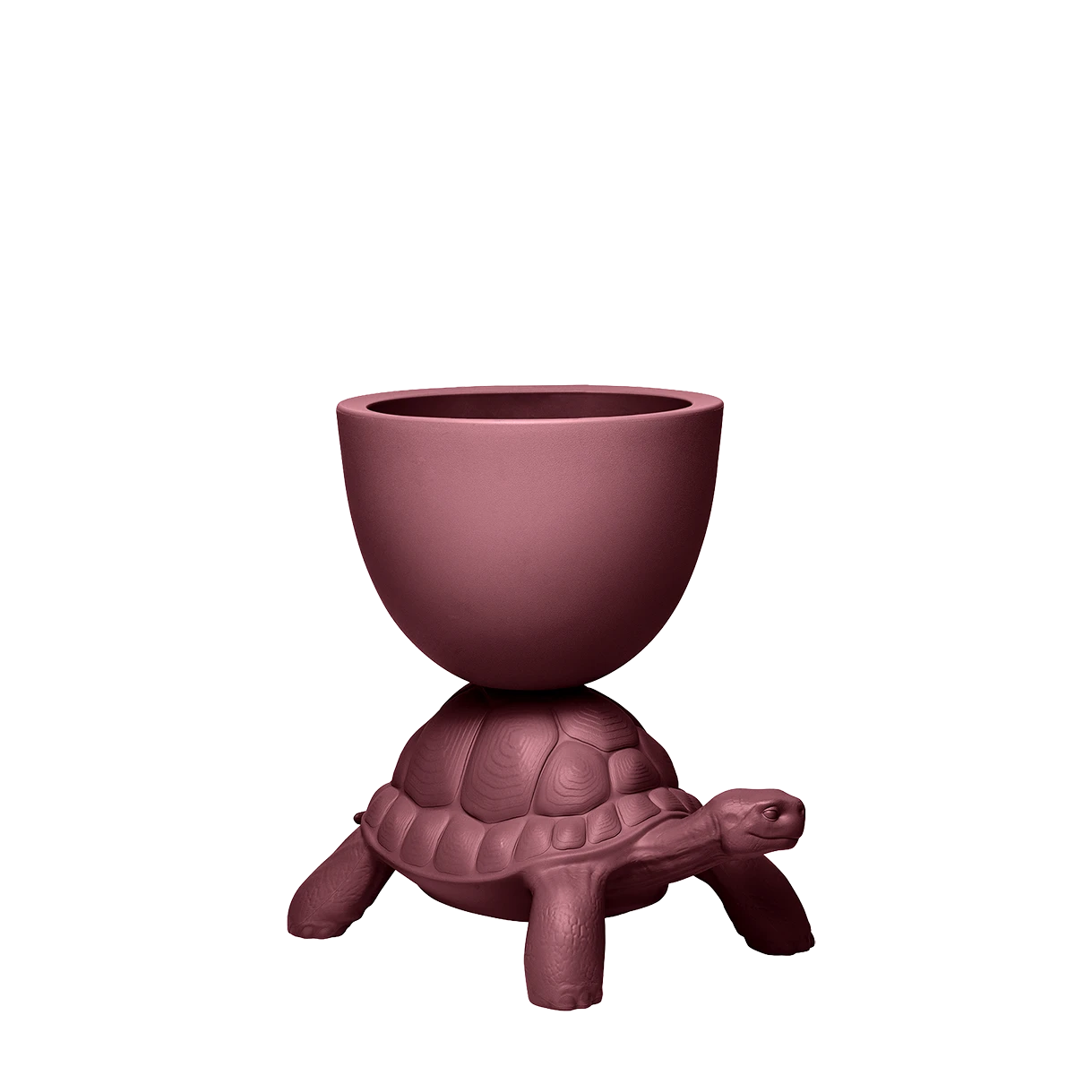 Turtle Carry Planter - immagine 4